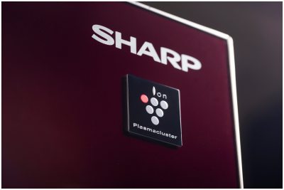 Sharp SJ-GX98PRD